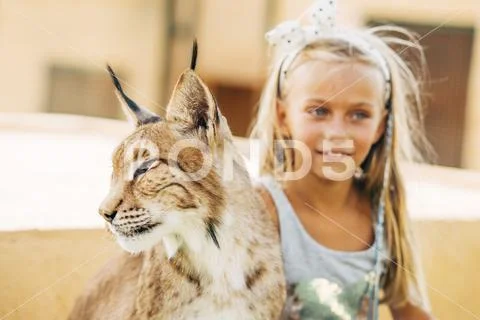 Pretty blue-eyed blonde girl poses next to Iberian lynx. Stock Photos