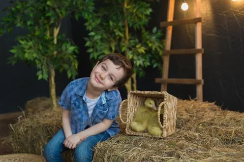 Pretty boy posing next to a shopping cart on the farm Stock Photos
