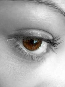 Pretty Brown Eye Stock Photos