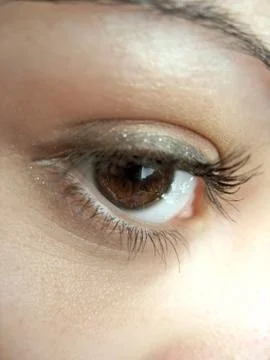 Pretty Brown Eye Stock Photos