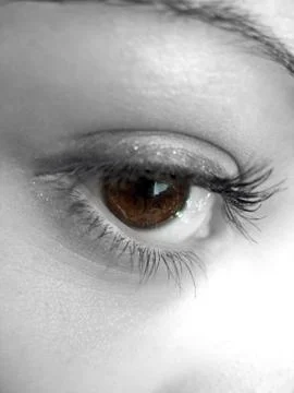 Pretty Brown Eye Stock Photos