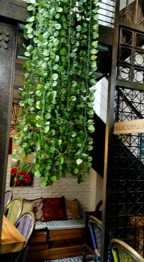 A pretty cafe place Stock Footage 256578028