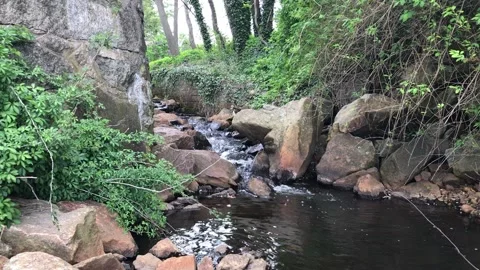 Pretty cascade in the woods. Stock Footage 154271925