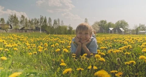Pretty caucasian boy lying on a spring meadow and looks. Happy child lies on Stock Footage 107731412