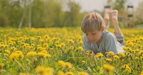 Pretty caucasian boy lying on a spring meadow and looks. Happy child lies on  Stock Footage 107731439