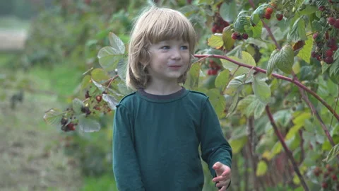 Pretty child eating raspberry and laughing Video stock 141355201