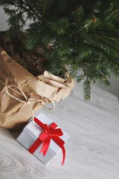 Pretty Christmas tree with a present Stock Photos