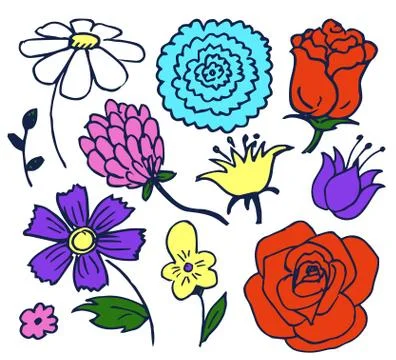 Pretty Color Flowers Aggregate Vector Illustration Stock Illustration