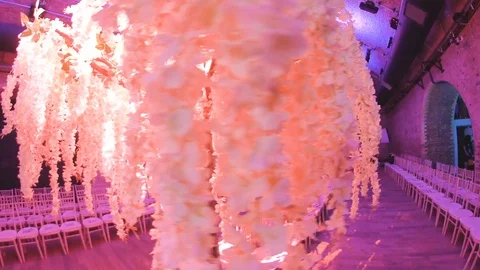 Pretty Colourful Tree Stock Footage 104266819