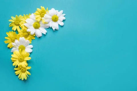 Pretty daisy composition Foto stock