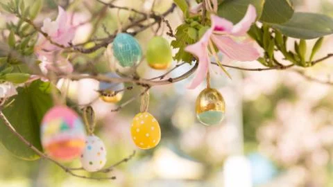 Pretty decorated Easter eggs hanging on a tree branch on a sunny spring day. Foto stock
