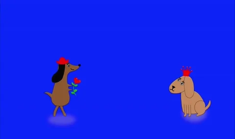 Pretty dogs Stock Footage 130734470