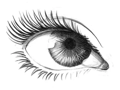 Pretty eye Stock Illustration