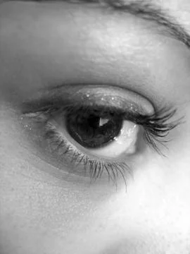 Pretty Eye Stock Photos