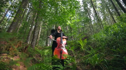 Pretty female with stringed instrument. Large cello in woman's hands Stock Footage 141326423