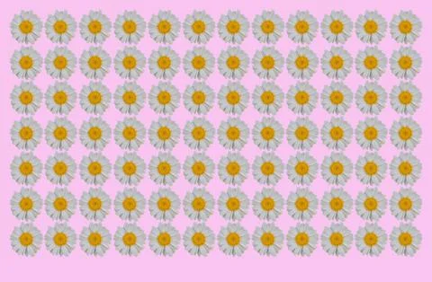 Pretty floral pattern for print. Stock Illustration