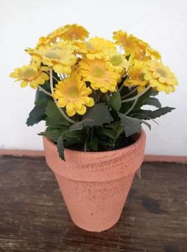 Pretty flower vase decorum back at the office Stock Photos