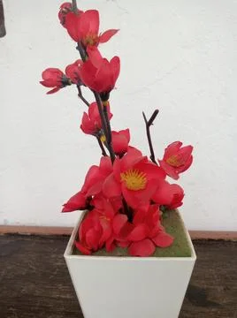 Pretty flower vase decorum back at the office Stock Photos
