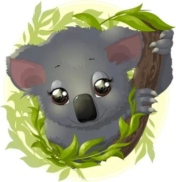 Pretty funny koala Stock Illustration