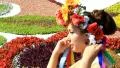 Pretty girl HD Footage