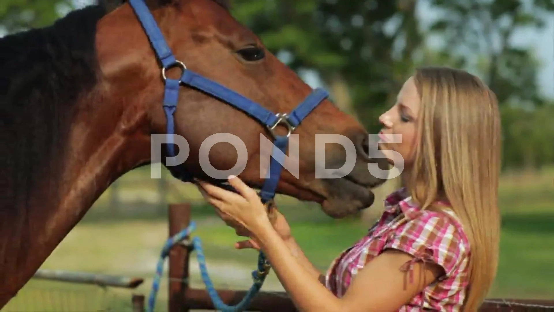 Giral An Horsxxxvideos - Pretty Girl Gets Horse Kisses | Stock Video | Pond5