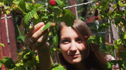 Pretty girl picking raspberry with focus change Stock Footage 54662132