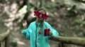 Pretty girl with smartphone stands on wooden bridge, listens to music and dance HD Footage