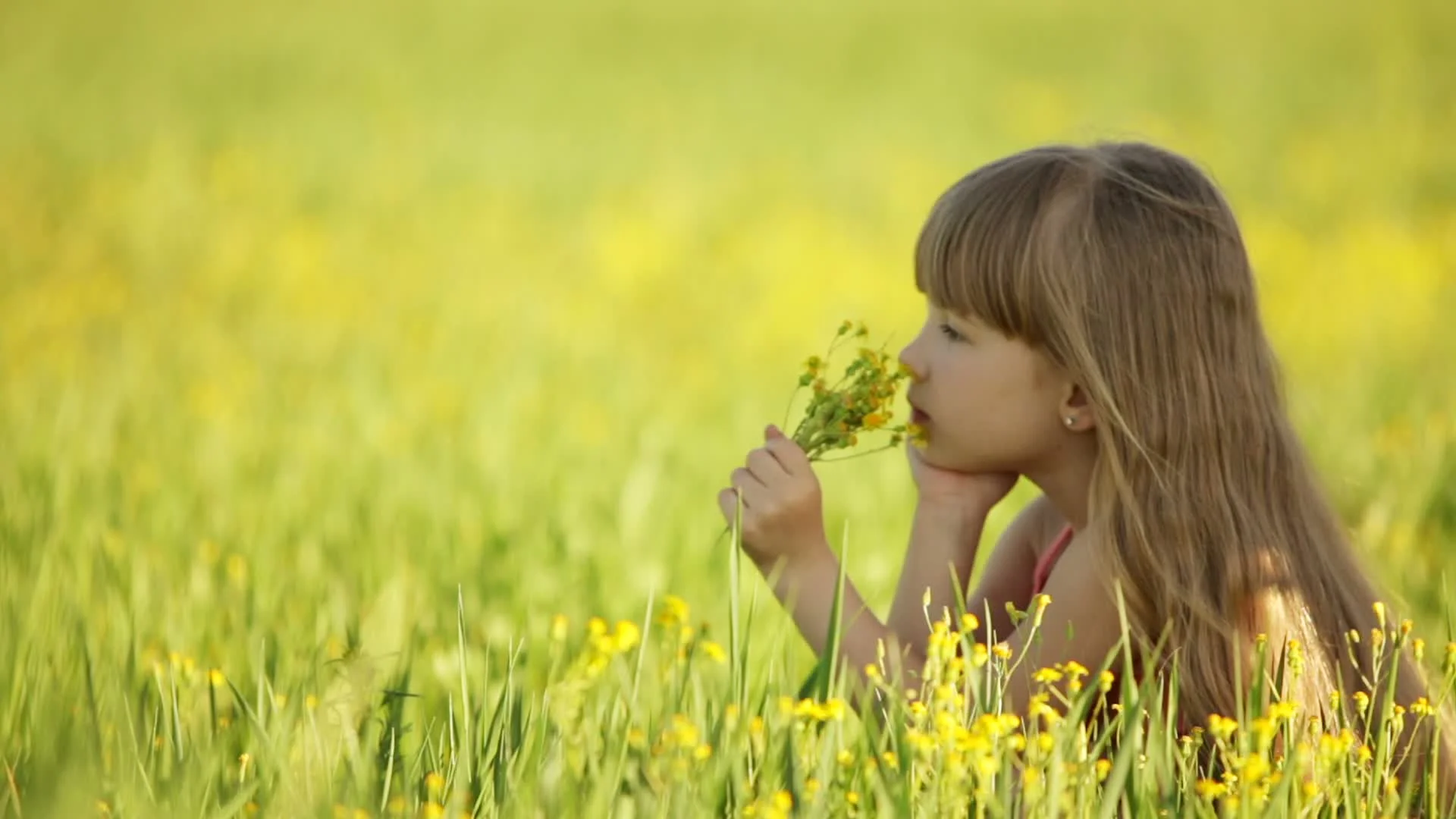 Young girl enjoying. Девочка нюхает цветок. Ребенок нюхает цветок. Нюхать цветы. Девочка нюхает цветок в поле.