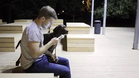 Pretty guy web surfing on a bench in a night park with his dog 스톡 동영상 84834197