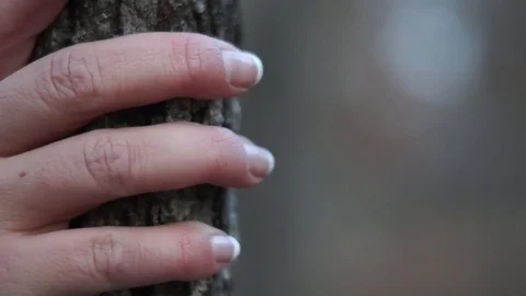 Pretty Hands Lightly Gripping Tree in the Woods (Slow Mo) Video stock 82361930