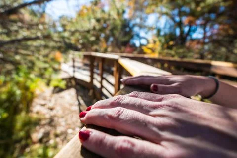 PRETTY HANDS Stock Photos