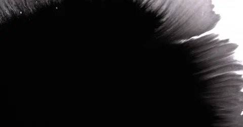 Pretty ink flow on white to use as alpha effects Stock Footage