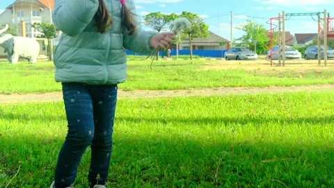 Pretty kid playing and smiling outside in a park. Happy little girl playing outs Stock Footage 279317865
