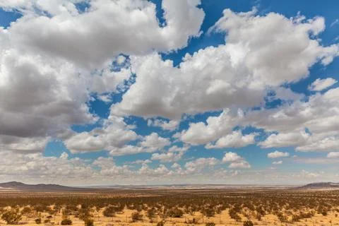 Pretty Landscape 스톡 사진