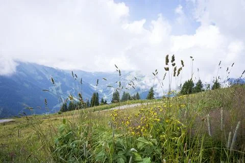 Pretty mountain and around Chatel Stock Photos