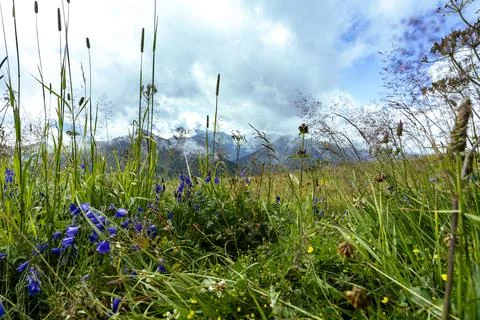 Pretty mountain and around Chatel Stock Photos