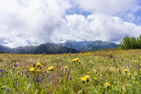 Pretty mountain and around Chatel Stock Photos