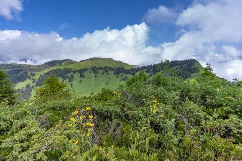 Pretty mountain and around Chatel Stock Photos