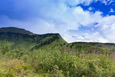 Pretty mountain and around Chatel Stock Photos