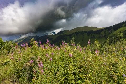 Pretty mountain and around Chatel Stock Photos