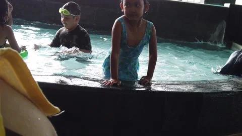 Pretty Multi Ethnic Children Playing Swimming Pool Stock Footage 146716743