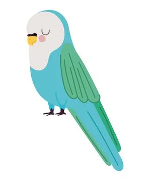 Pretty parakeet design 스톡 일러스트