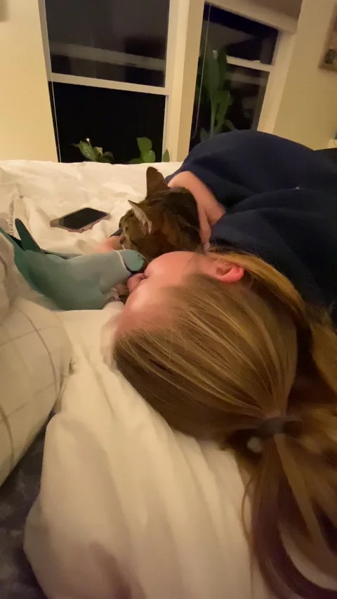 Pretty Parakeet Gets Jealous of  Cat, Poulsbo, Washington, USA - 14 Sep 2022 Video stock 217083783