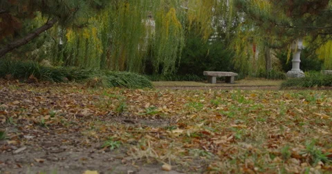 Pretty Park Stock Footage 44618357