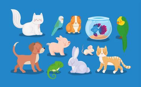 Pretty pets group Stock Illustration