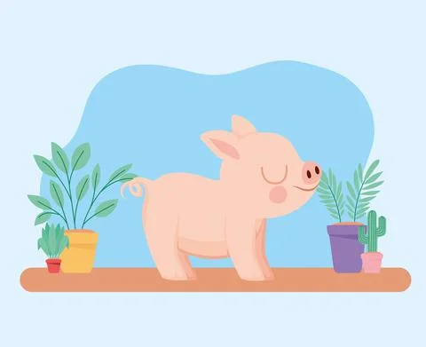 Pretty piggy representation Stock Illustration