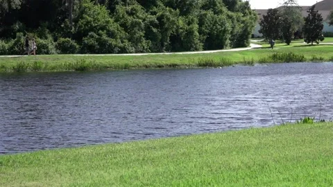 Pretty Pond Path Stroll couple Stock Footage 131262441