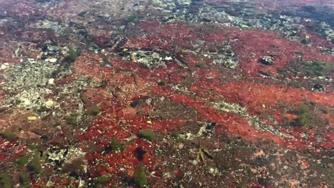 Pretty Pool Of The Sea Stock Footage 156192362