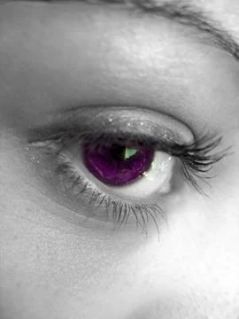Pretty Purple Eye Stock Photos