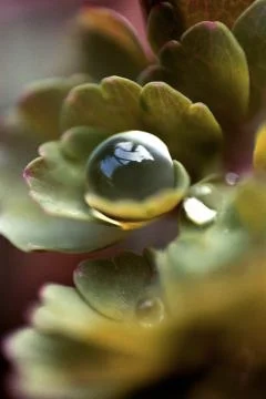 Pretty rain Stock Photos